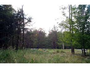 33 Taplin Road Barre Town, VT 05641 - Photo 4 of 5