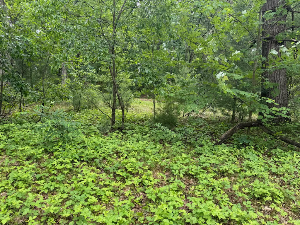 6250 Clover Road Twin Lake, MI 49457 - Photo 5 of 7 IMG_9475.HEIC