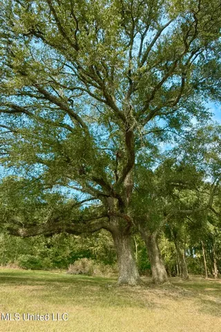 $450,000 | 37 Fortenberry Road, Tylertown, MS 39667