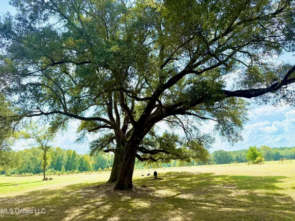 $410,000 | 37 Fortenberry Road, Tylertown, MS 39667