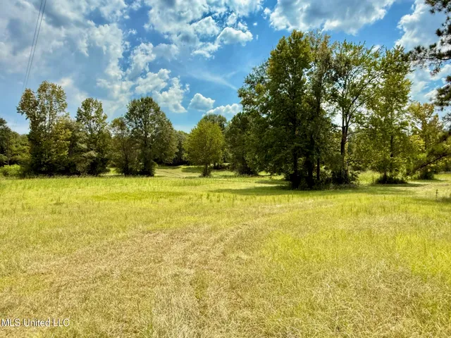 $450,000 | 37 Fortenberry Road, Tylertown, MS 39667