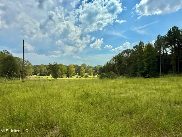 $450,000 | 37 Fortenberry Road, Tylertown, MS 39667