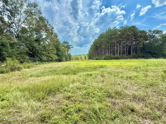 $450,000 | 37 Fortenberry Road, Tylertown, MS 39667