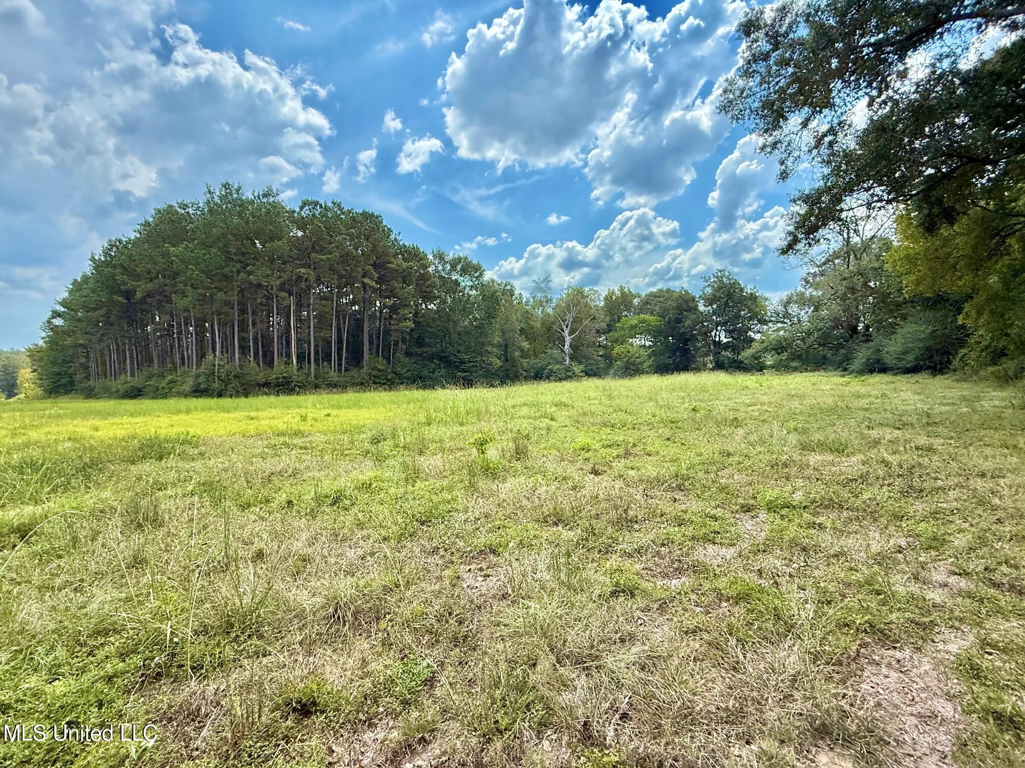 37 Fortenberry Road Tylertown, MS 39667 - Photo 40 of 53 IMG_2063