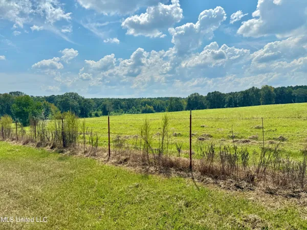 $410,000 | 37 Fortenberry Road, Tylertown, MS 39667