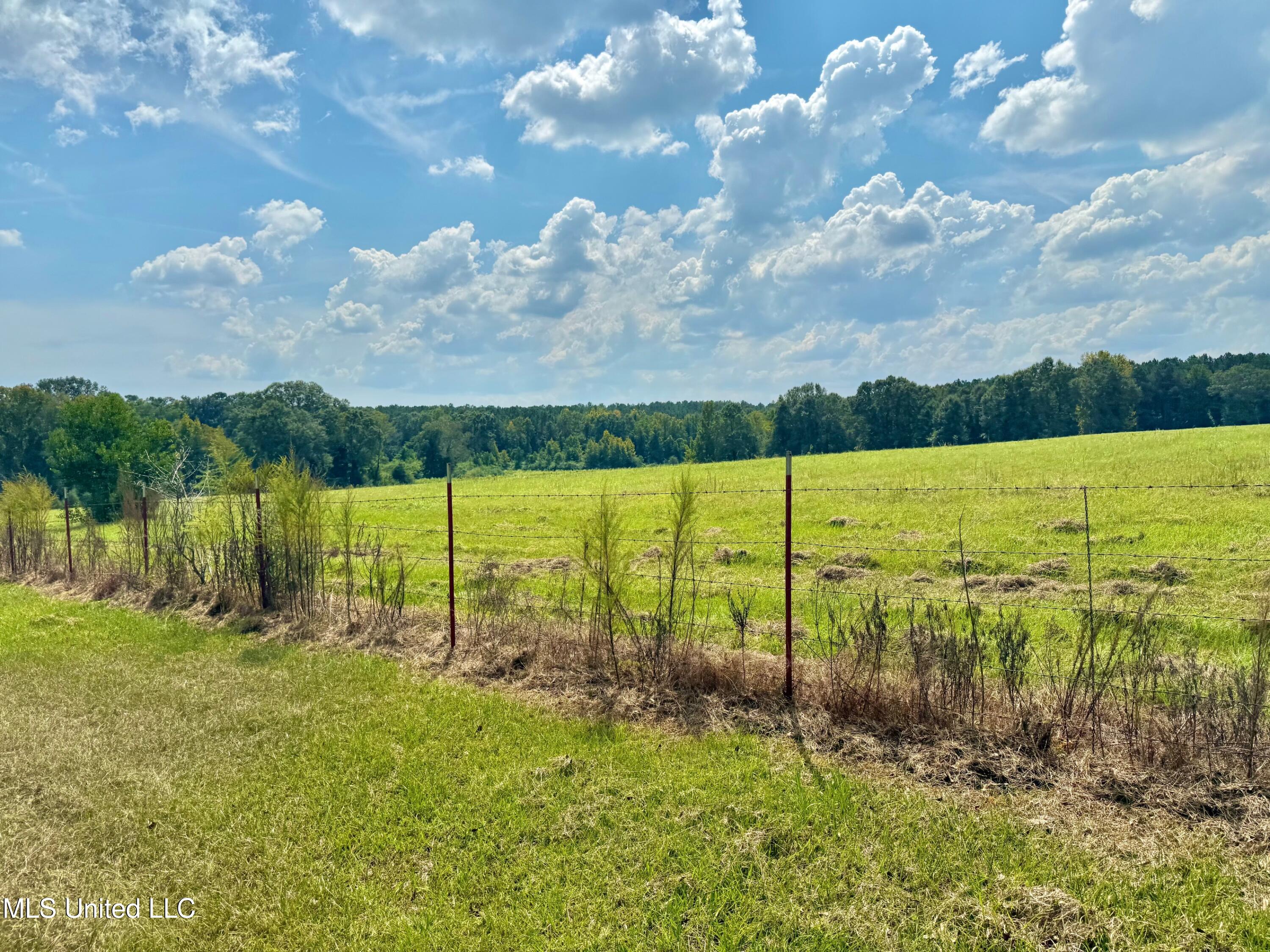 37 Fortenberry Road Tylertown, MS 39667 - Photo 41 of 53 IMG_2054