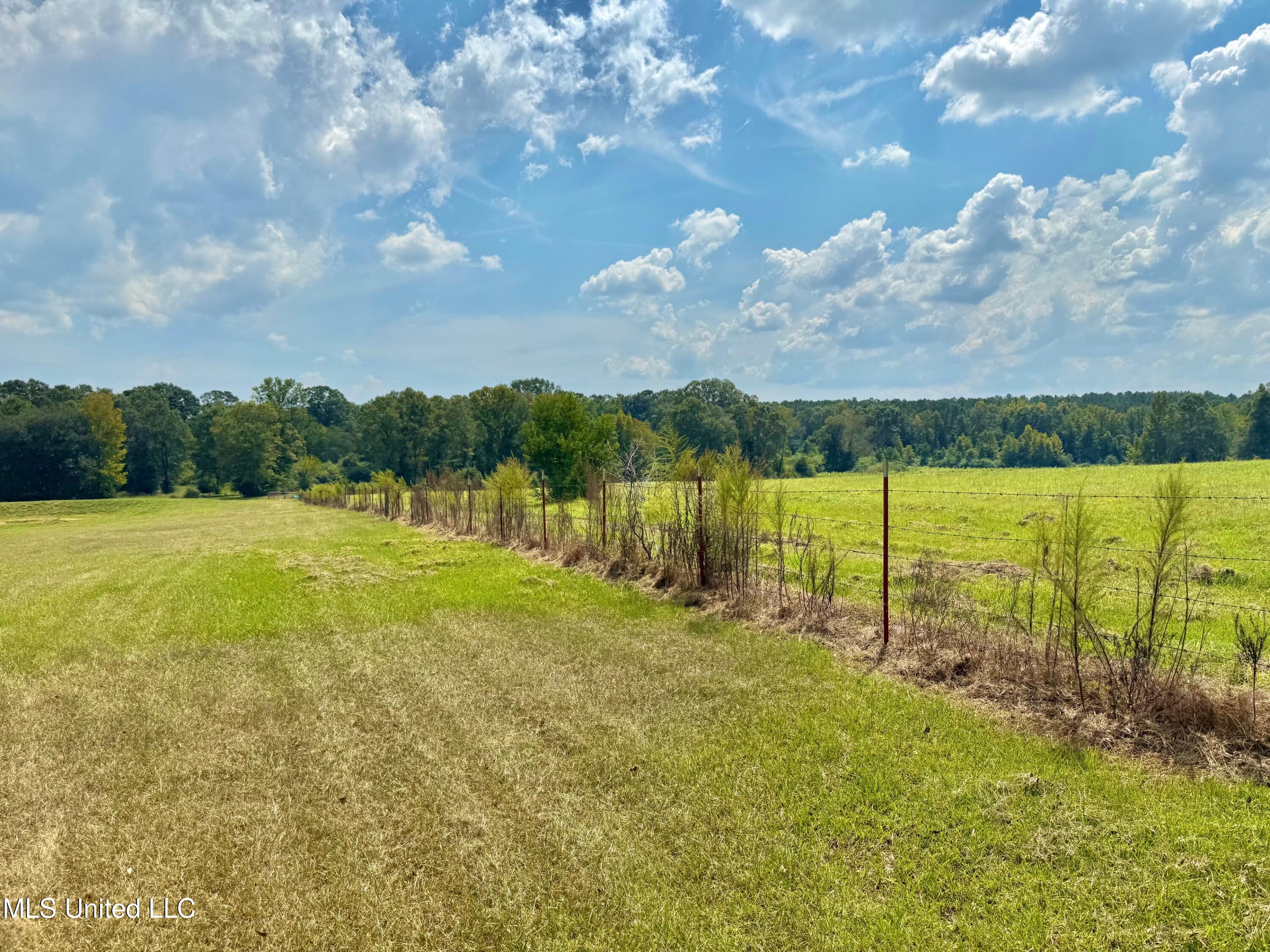 37 Fortenberry Road Tylertown, MS 39667 - Photo 42 of 53 IMG_2053