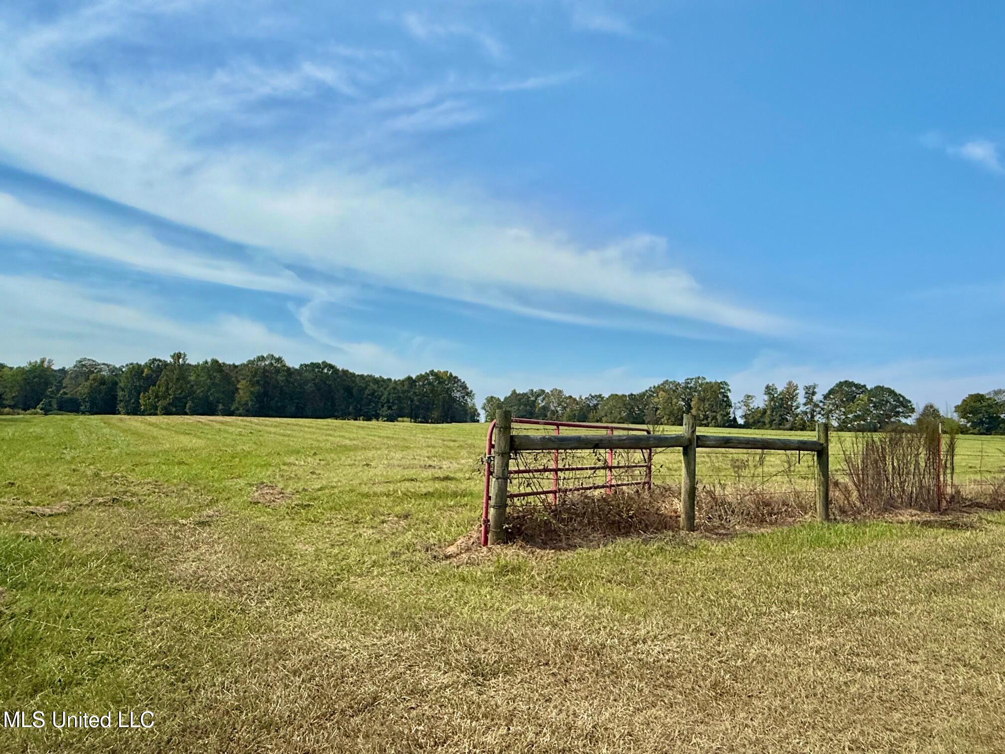 37 Fortenberry Road Tylertown, MS 39667 - Photo 43 of 53 IMG_1911