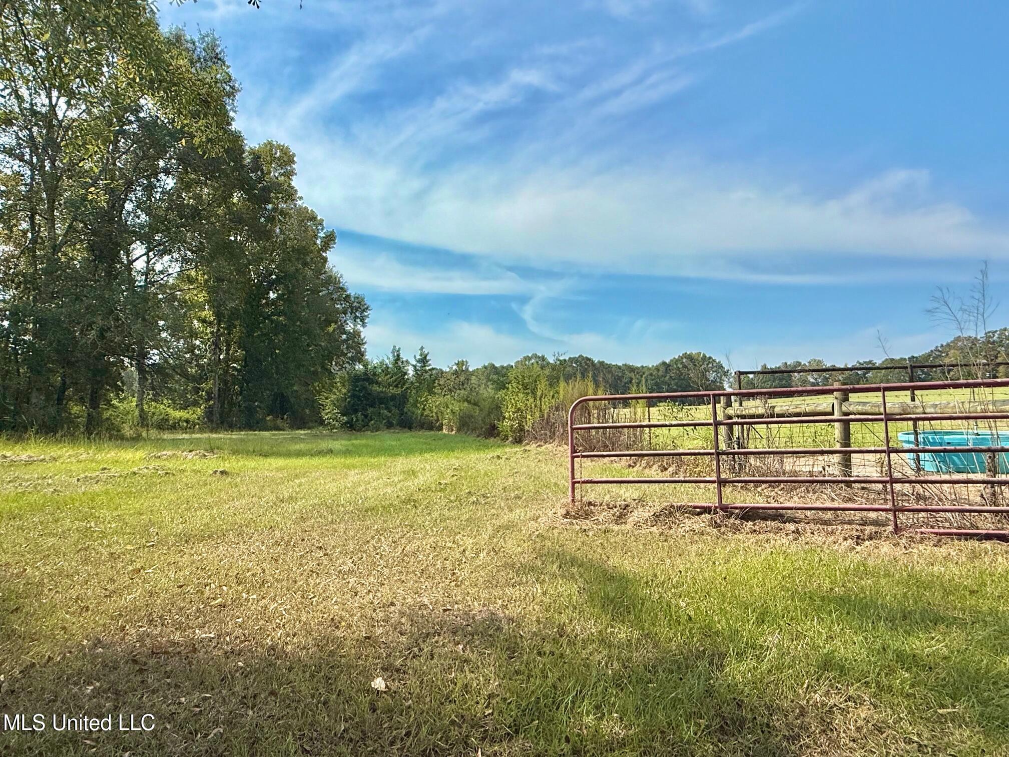 37 Fortenberry Road Tylertown, MS 39667 - Photo 44 of 53 IMG_1909