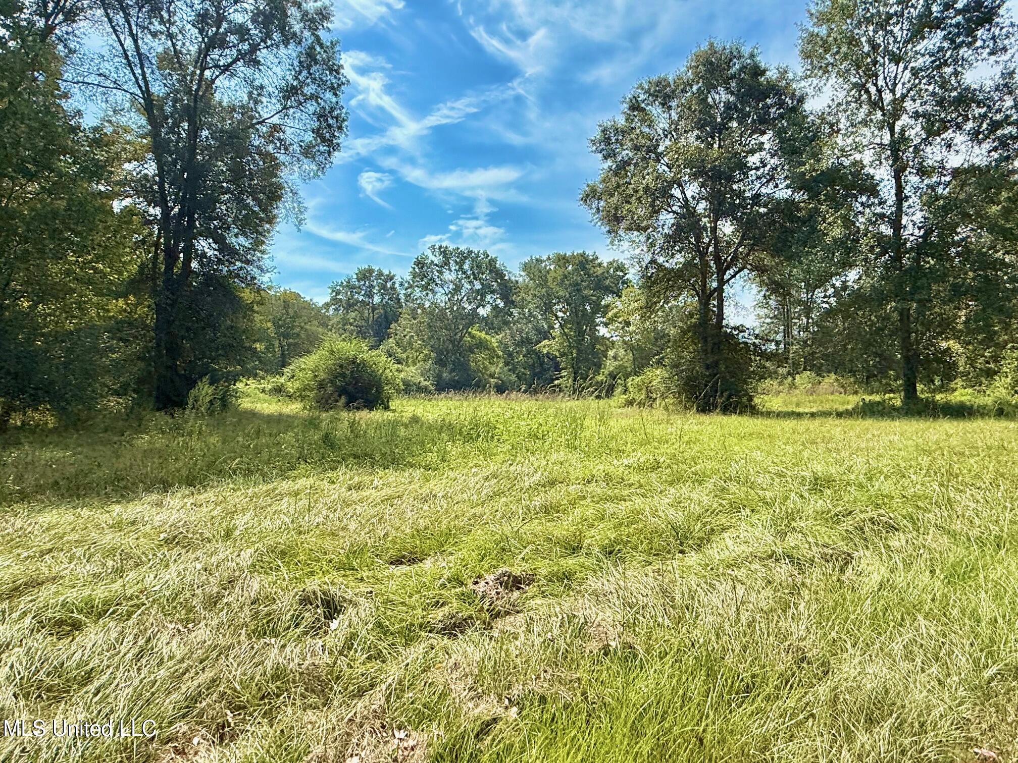 37 Fortenberry Road Tylertown, MS 39667 - Photo 45 of 53 IMG_1908
