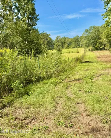 $410,000 | 37 Fortenberry Road, Tylertown, MS 39667