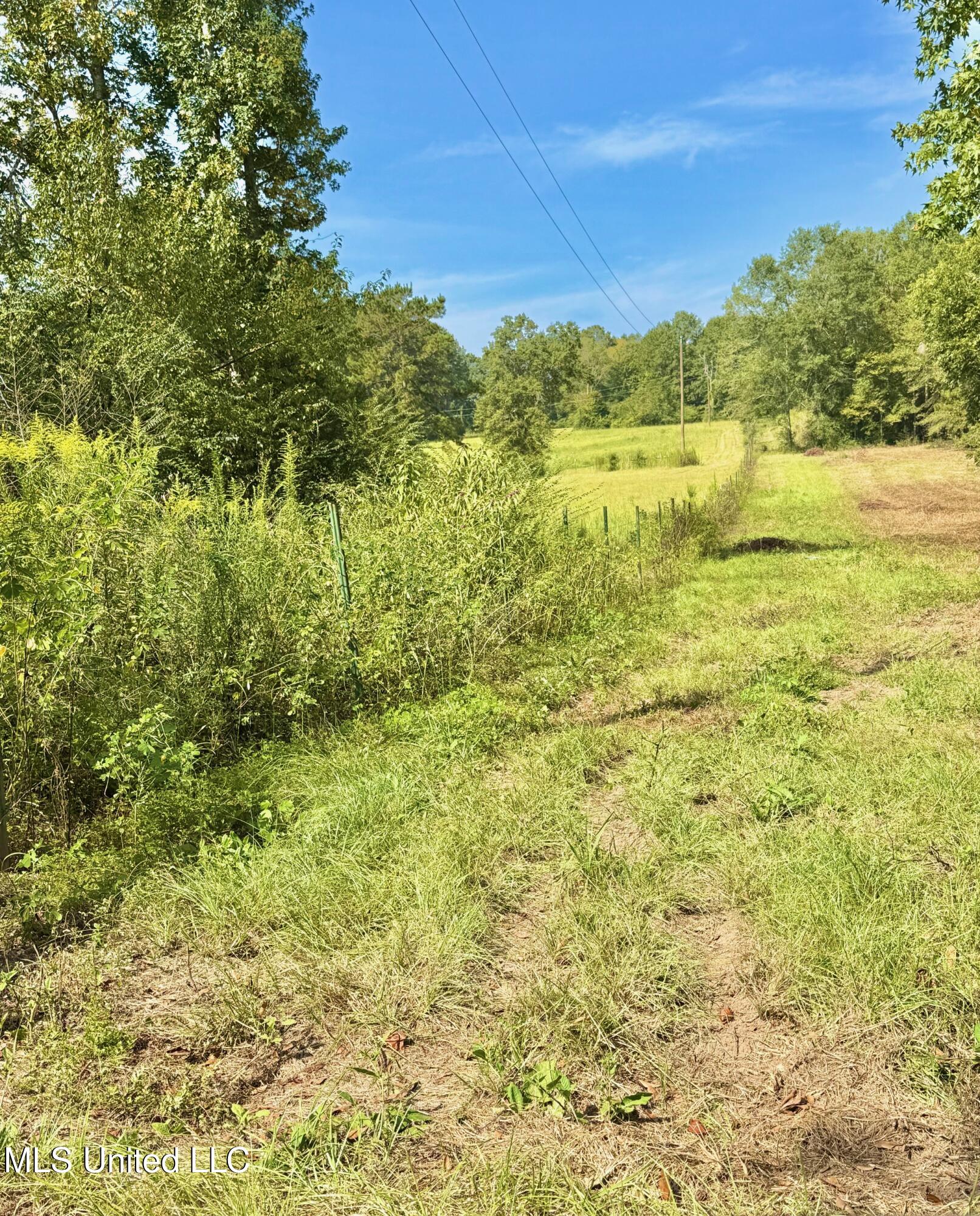 37 Fortenberry Road Tylertown, MS 39667 - Photo 46 of 53 IMG_1901