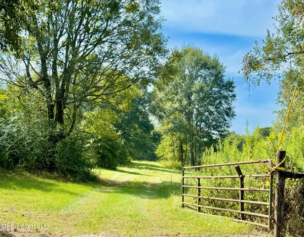 $450,000 | 37 Fortenberry Road, Tylertown, MS 39667