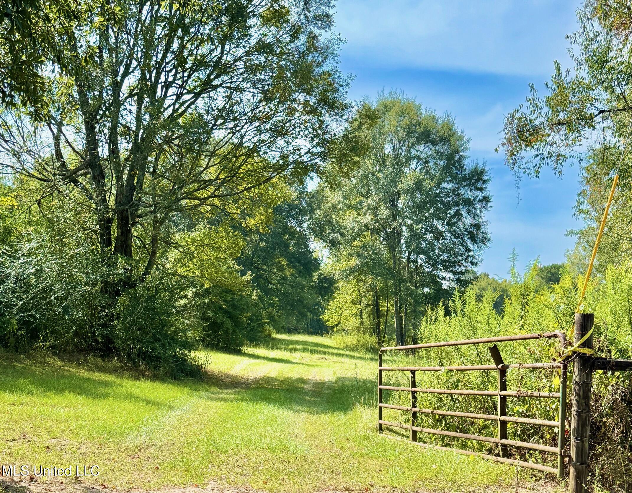 37 Fortenberry Road Tylertown, MS 39667 - Photo 47 of 53 IMG_1900