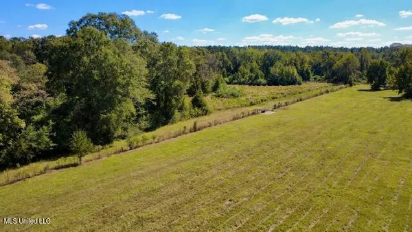 $410,000 | 37 Fortenberry Road, Tylertown, MS 39667