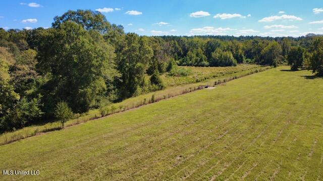 37 Fortenberry Road Tylertown, MS 39667 - Photo 48 of 53 dji_fly_20251011_134604_55_1760208650274