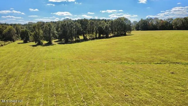 $450,000 | 37 Fortenberry Road, Tylertown, MS 39667