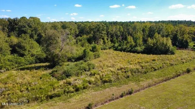 $450,000 | 37 Fortenberry Road, Tylertown, MS 39667