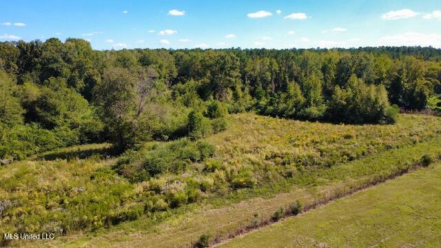 37 Fortenberry Road Tylertown, MS 39667 - Photo 50 of 53 dji_fly_20251011_134648_57_1760208646701