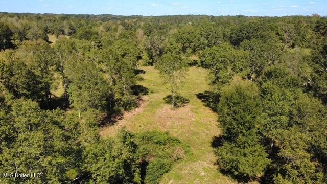 37 Fortenberry Road Tylertown, MS 39667 - Photo 51 of 53 dji_fly_20251011_134726_58_1760208644681