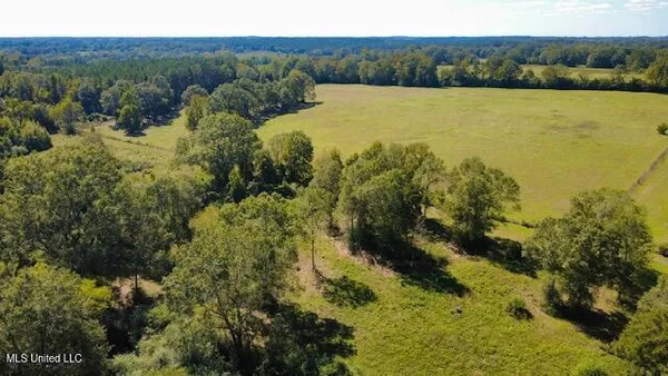 $410,000 | 37 Fortenberry Road, Tylertown, MS 39667