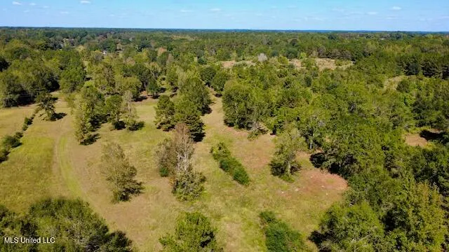 $450,000 | 37 Fortenberry Road, Tylertown, MS 39667