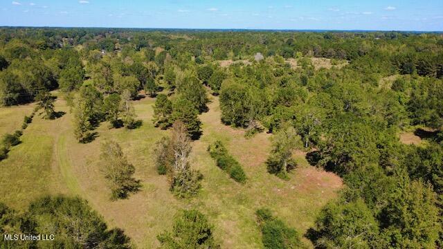 37 Fortenberry Road Tylertown, MS 39667 - Photo 53 of 53 dji_fly_20251011_134844_60_1760208640964