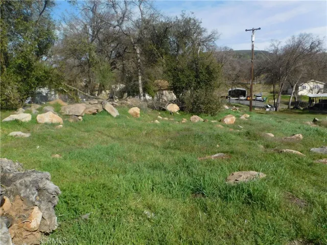 a view of a park with large trees