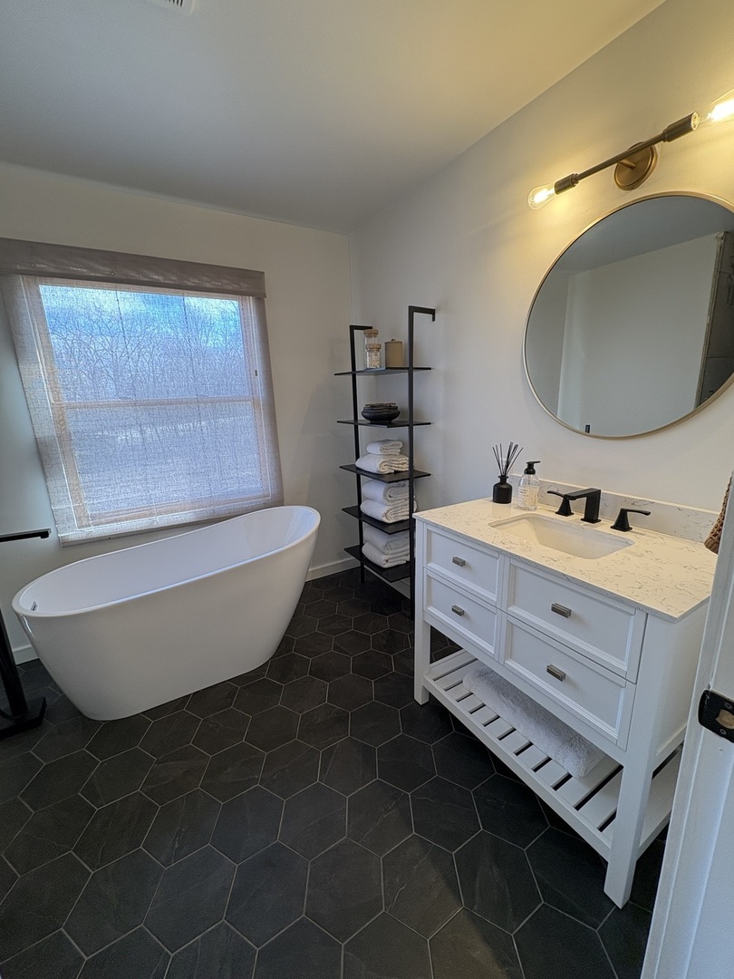 1124 North Clark Lane Elizabeth, IL 61028 - Photo 12 of 50 a bathroom with a double vanity sink mirror and bathtub