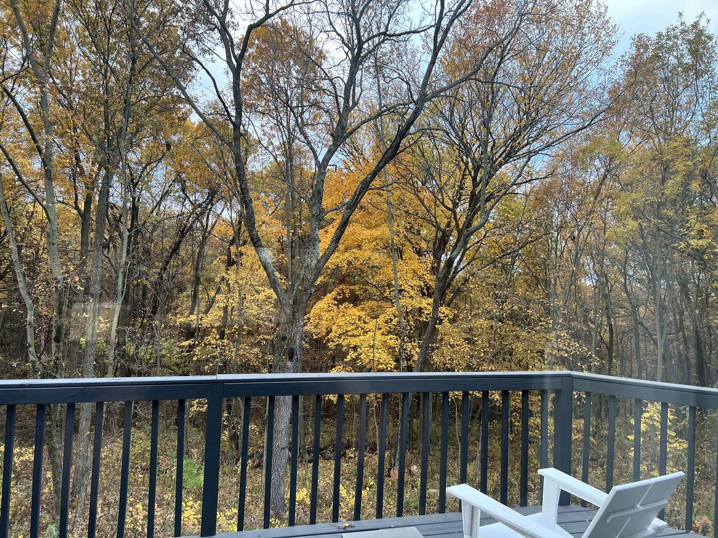 1124 North Clark Lane Elizabeth, IL 61028 - Photo 2 of 50 a view of a two chairs in the roof deck