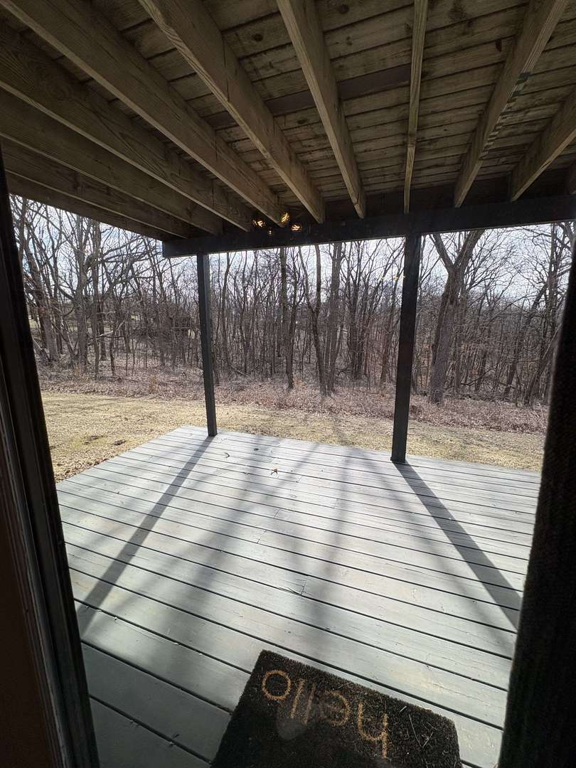 1124 North Clark Lane Elizabeth, IL 61028 - Photo 24 of 50 a view of outdoor space with wooden floor