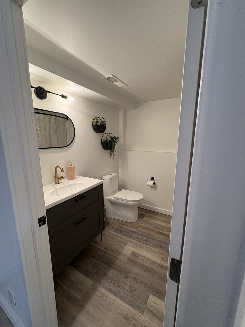 1124 North Clark Lane Elizabeth, IL 61028 - Photo 35 of 50 a bathroom with a sink and mirror