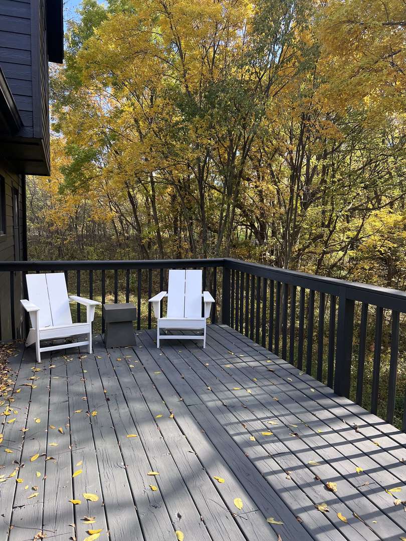 1124 North Clark Lane Elizabeth, IL 61028 - Photo 4 of 50 a view of roof deck with couches and wooden floor