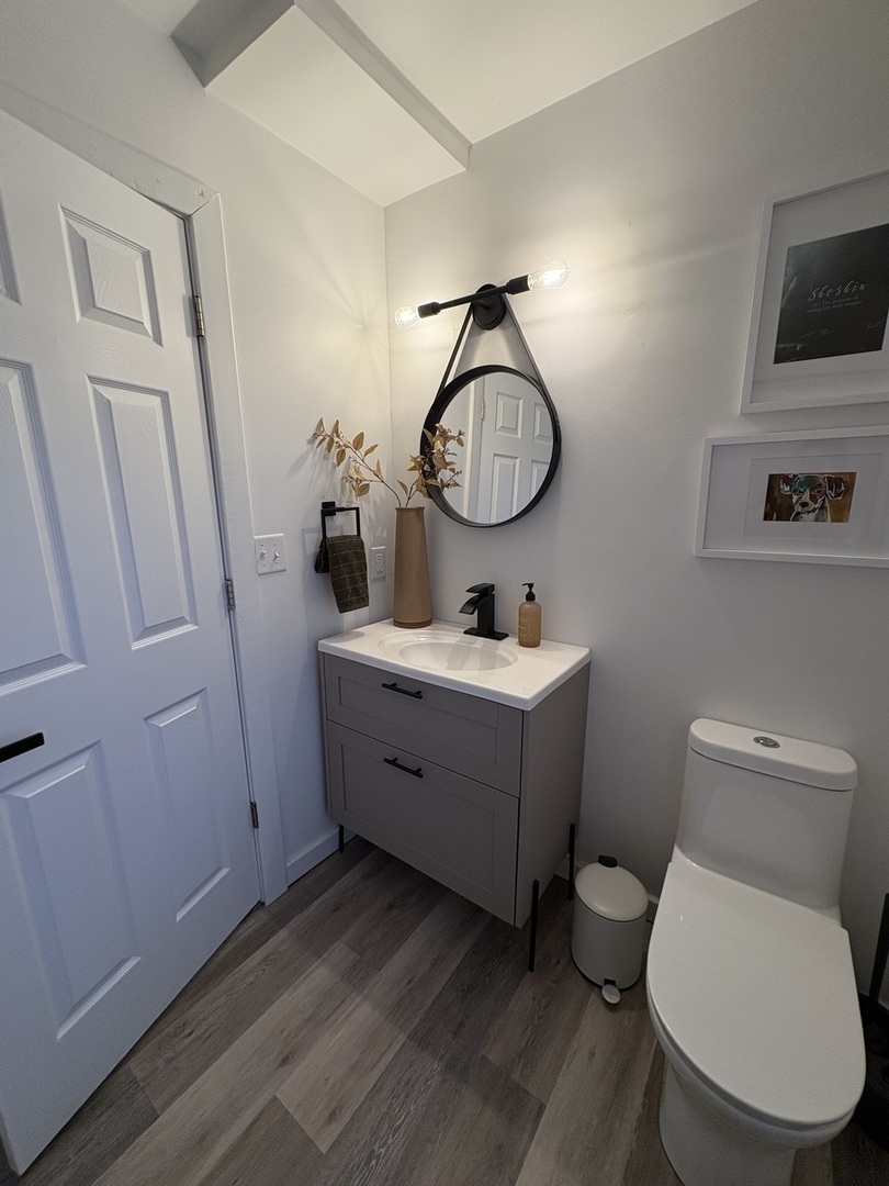 1124 North Clark Lane Elizabeth, IL 61028 - Photo 41 of 50 a bathroom with a toilet a sink and a mirror