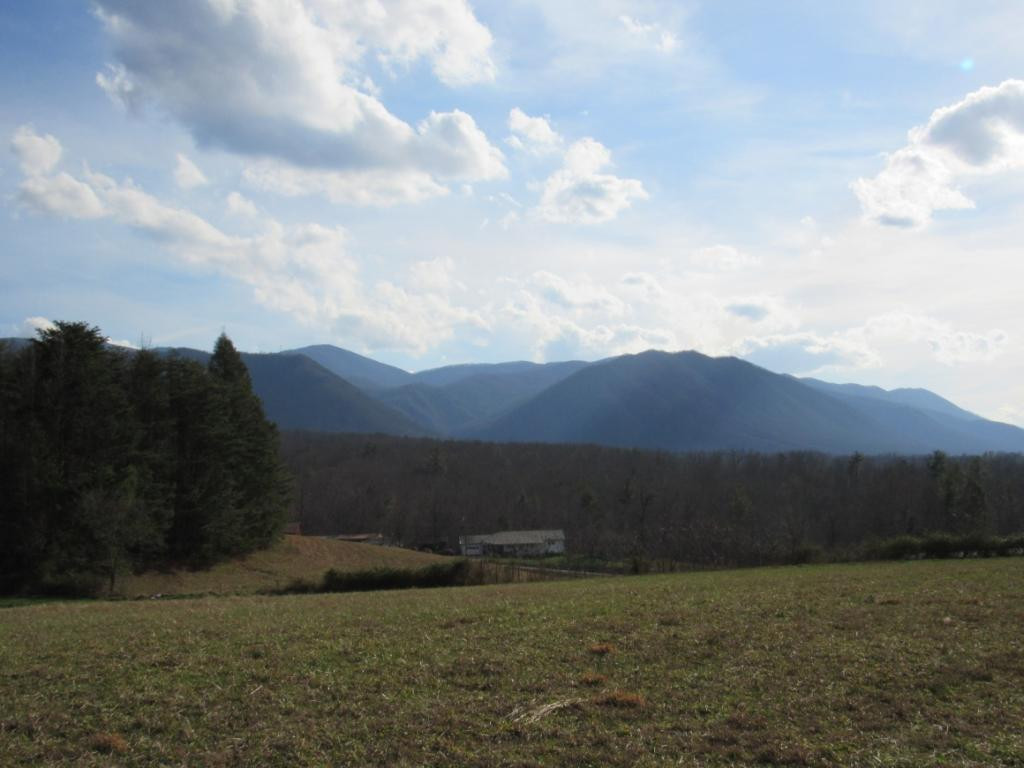 195 Round Knob Road Greeneville, TN 37743 - Photo 1 of 23 Photo 1