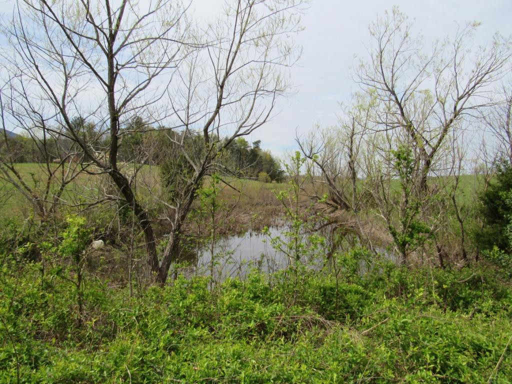 195 Round Knob Road Greeneville, TN 37743 - Photo 13 of 23 Photo 13