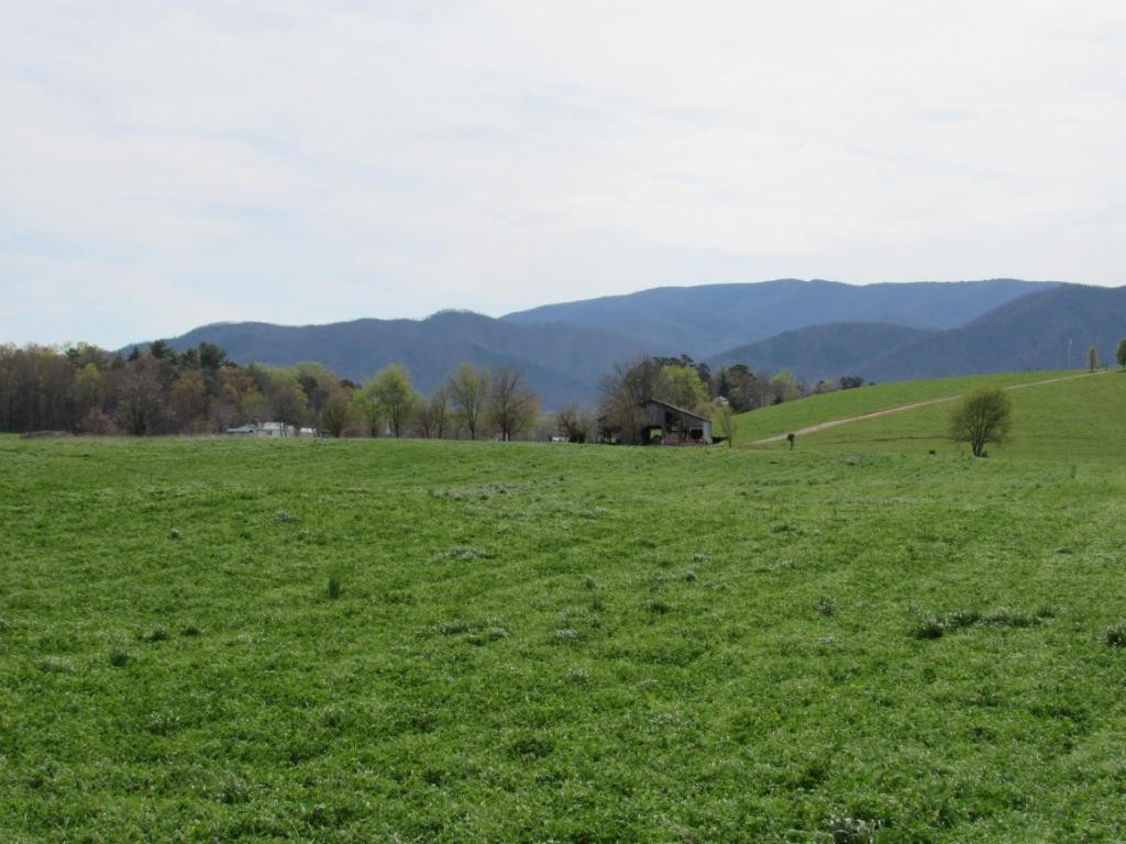 195 Round Knob Road Greeneville, TN 37743 - Photo 14 of 23 Photo 14