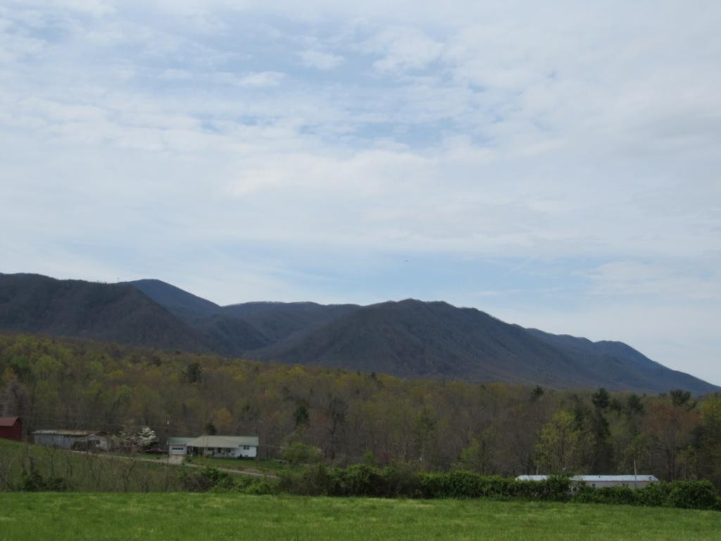195 Round Knob Road Greeneville, TN 37743 - Photo 15 of 23 Photo 15