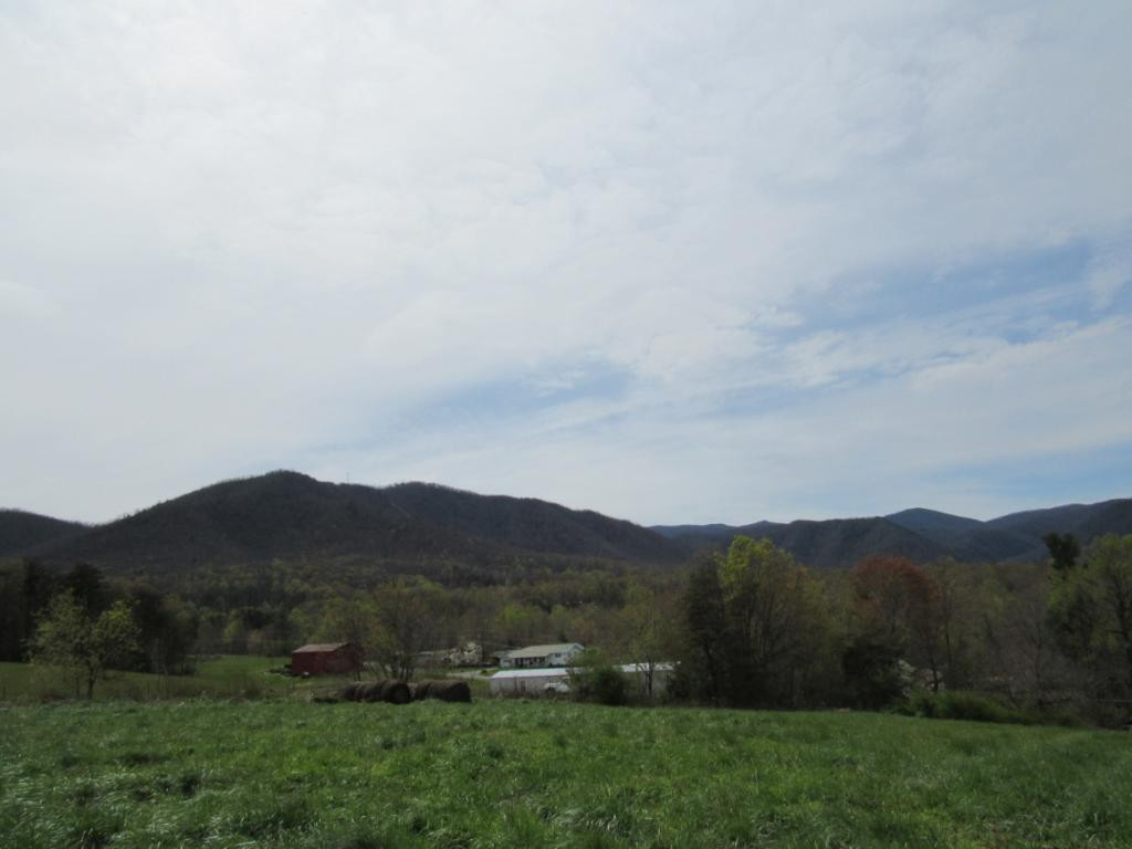 195 Round Knob Road Greeneville, TN 37743 - Photo 16 of 23 Photo 16