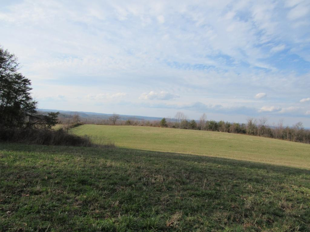 195 Round Knob Road Greeneville, TN 37743 - Photo 19 of 23 Photo 20