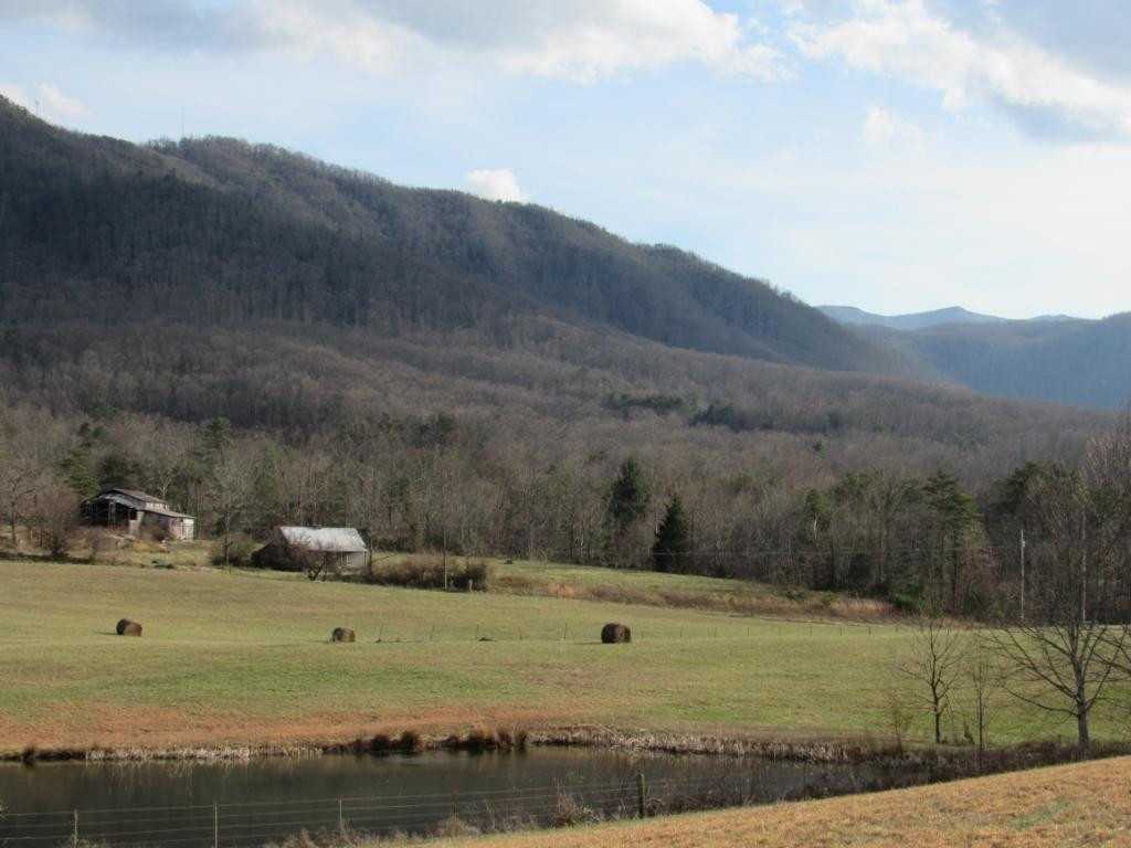 195 Round Knob Road Greeneville, TN 37743 - Photo 20 of 23 Photo 21