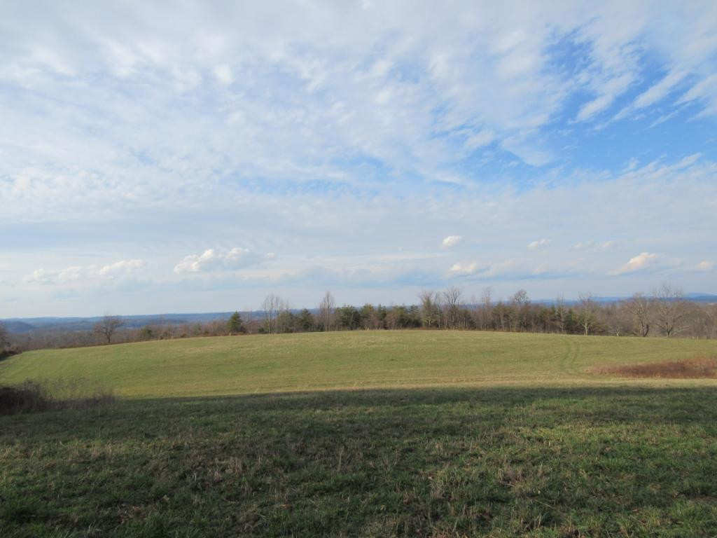 195 Round Knob Road Greeneville, TN 37743 - Photo 21 of 23 Photo 22