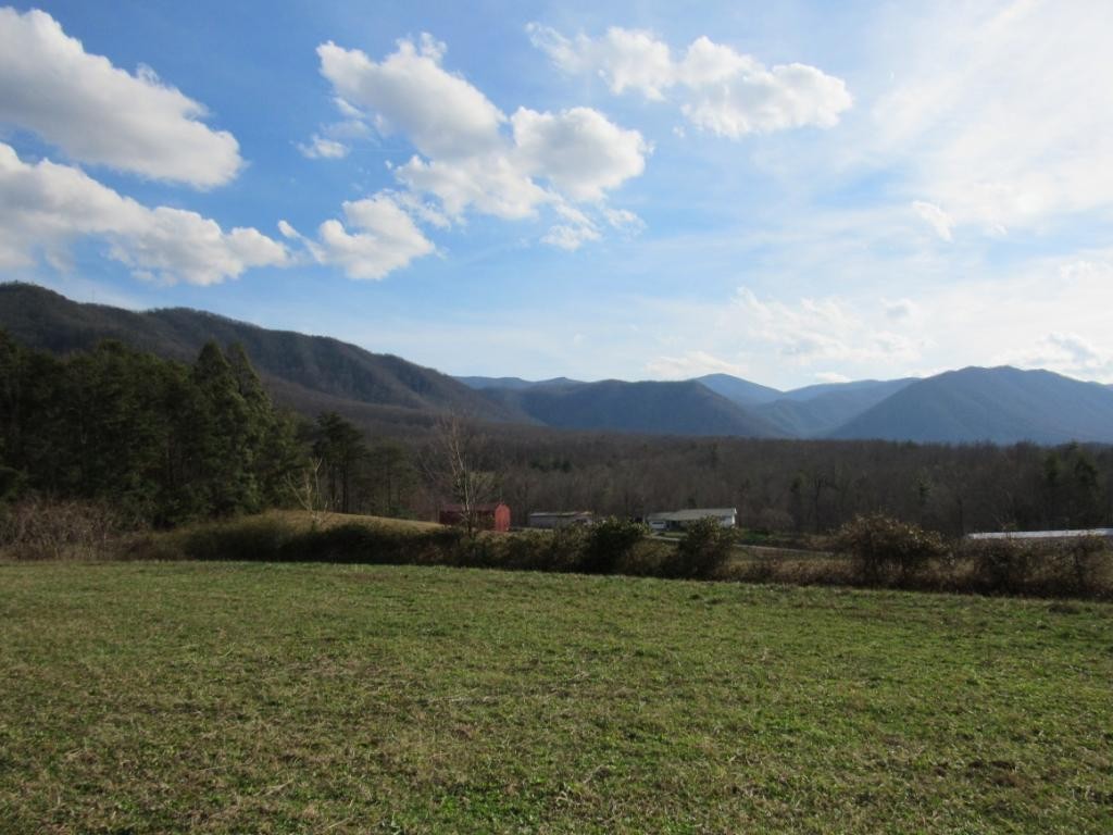195 Round Knob Road Greeneville, TN 37743 - Photo 22 of 23 Photo 23