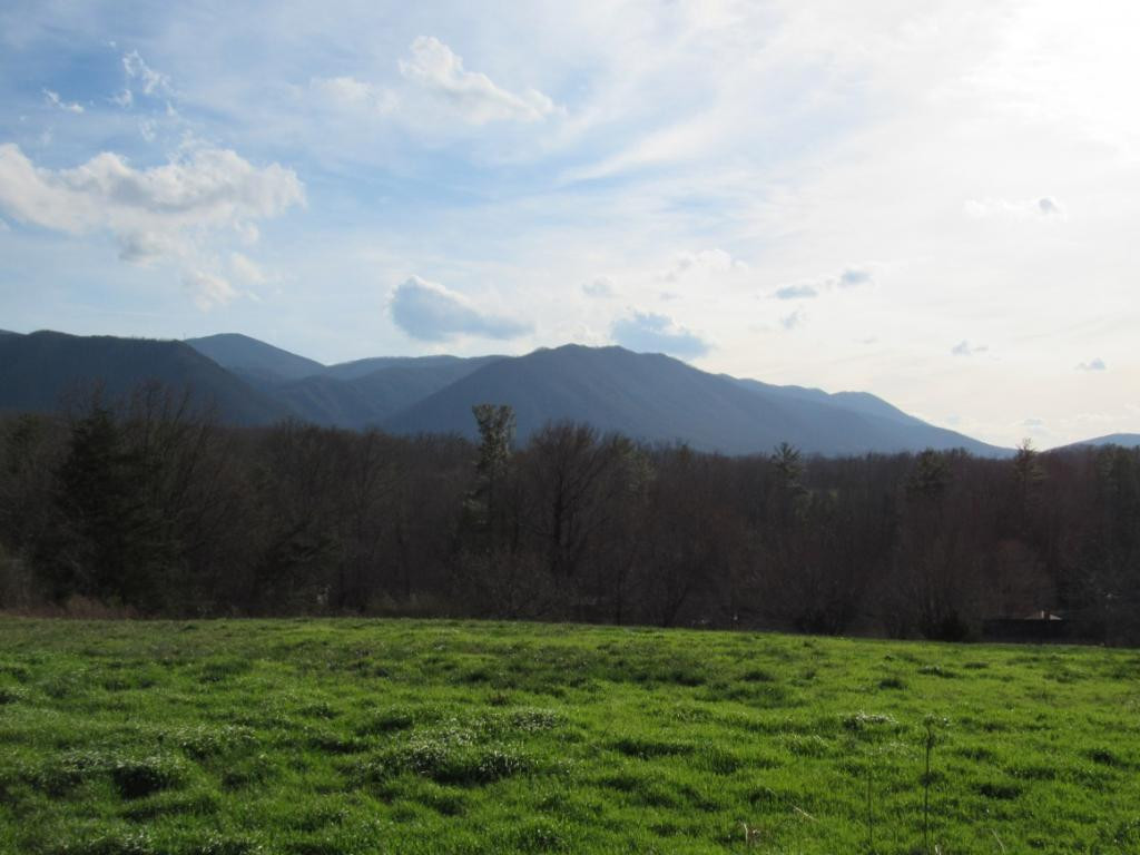 195 Round Knob Road Greeneville, TN 37743 - Photo 23 of 23 Photo 24