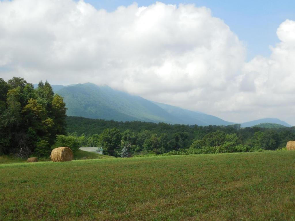 195 Round Knob Road Greeneville, TN 37743 - Photo 3 of 23 Photo 3