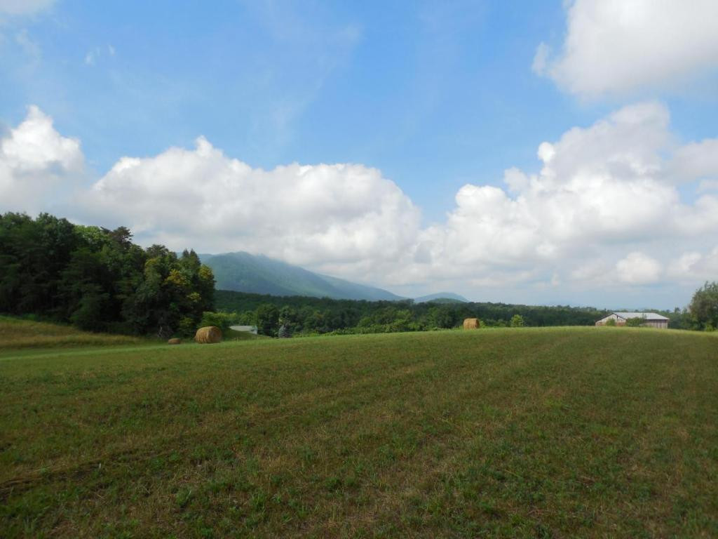 195 Round Knob Road Greeneville, TN 37743 - Photo 5 of 23 Photo 5