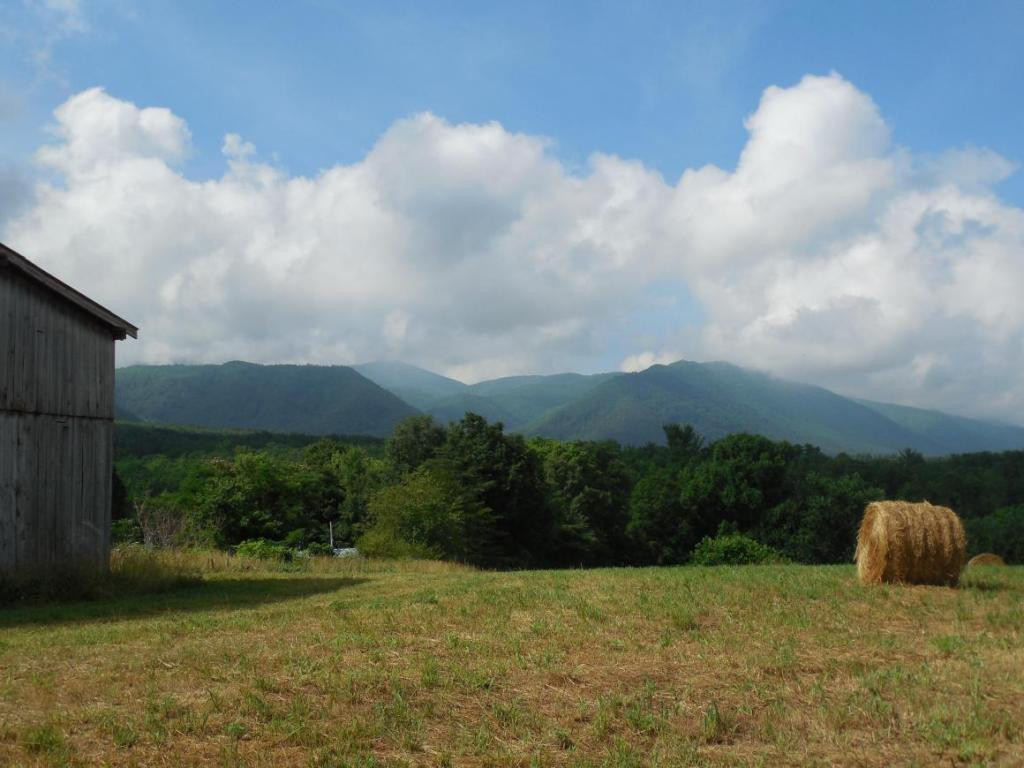 195 Round Knob Road Greeneville, TN 37743 - Photo 7 of 23 Photo 7