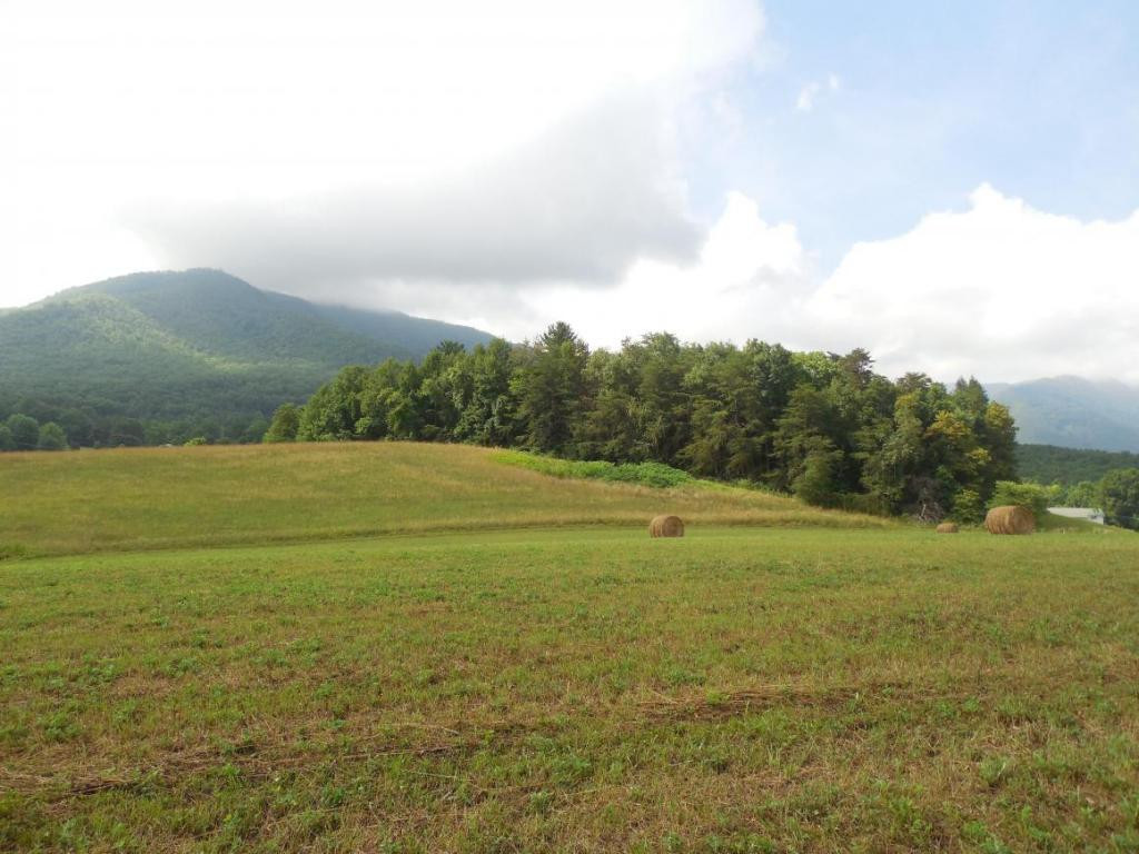 195 Round Knob Road Greeneville, TN 37743 - Photo 8 of 23 Photo 8