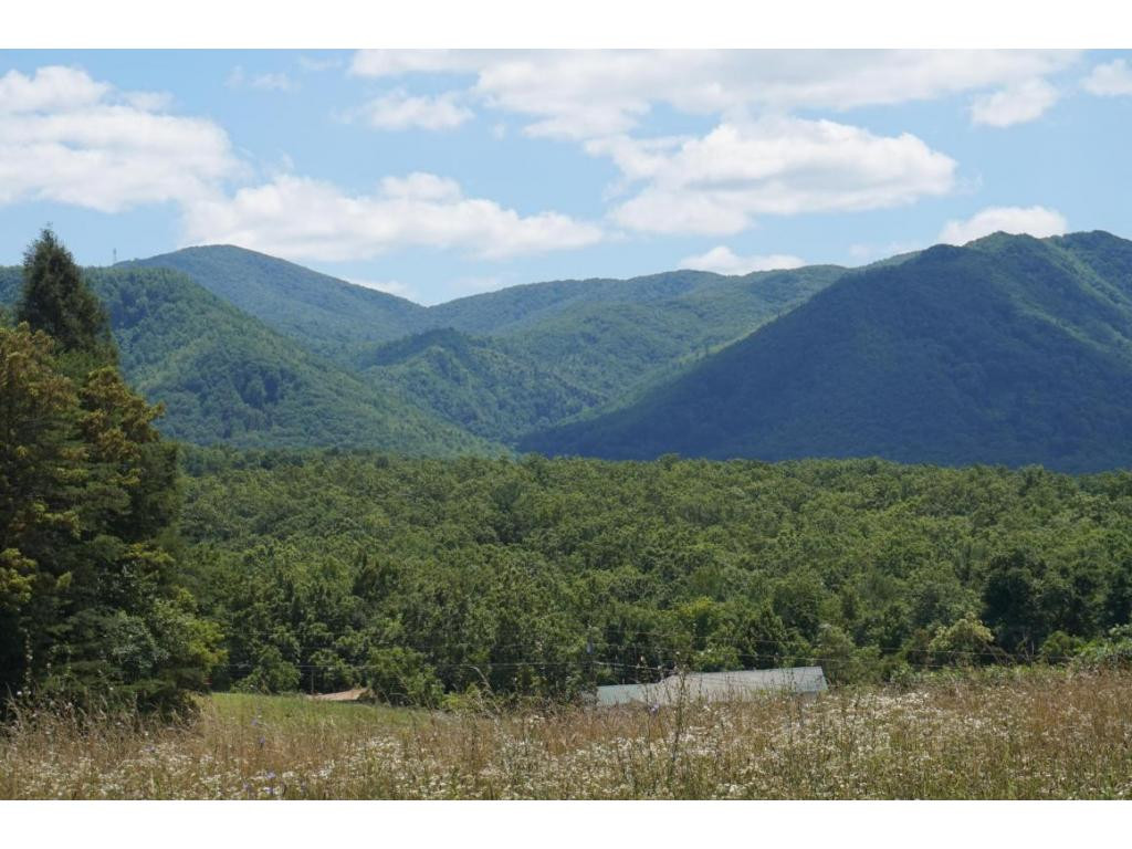 195 Round Knob Road Greeneville, TN 37743 - Photo 10 of 23 Photo 10
