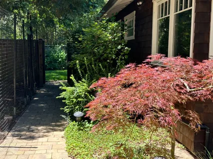 a view of a backyard of the house